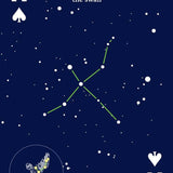 Night Sky Playing Cards - Sugar River Shoppe