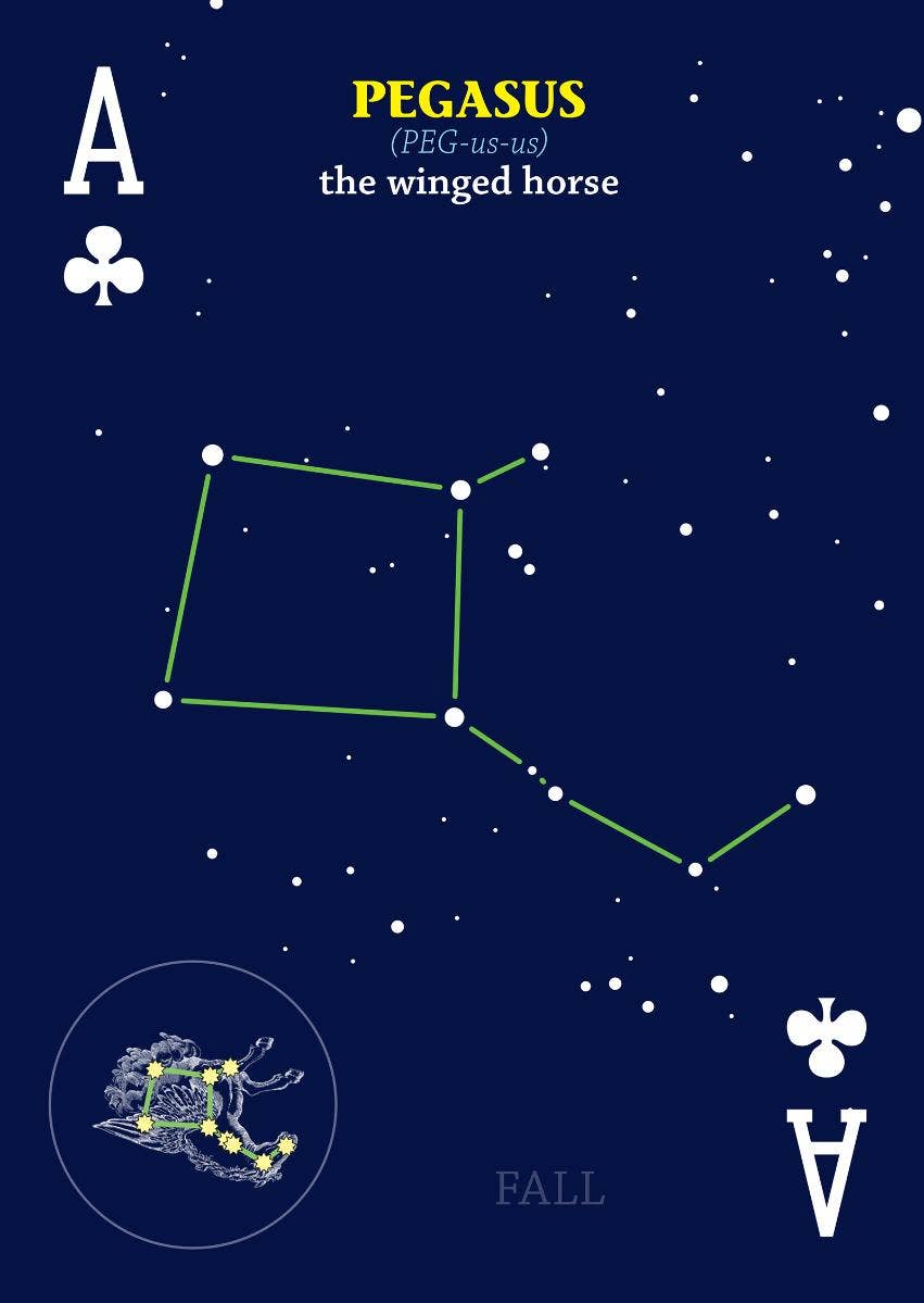 Night Sky Playing Cards - Sugar River Shoppe