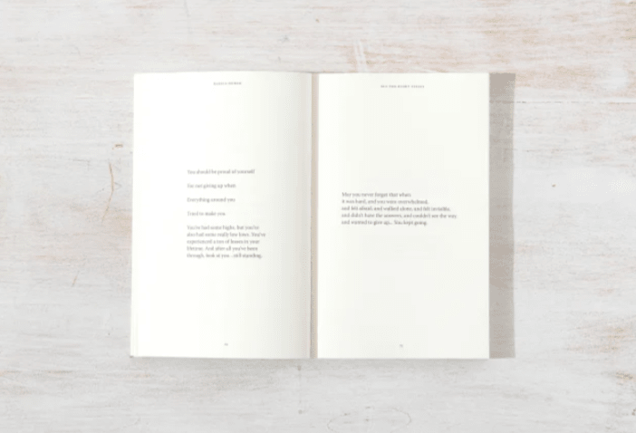 All The Right Pieces - book - Thought Catalog - 9781949759495 - Sugar River Shoppe - 
