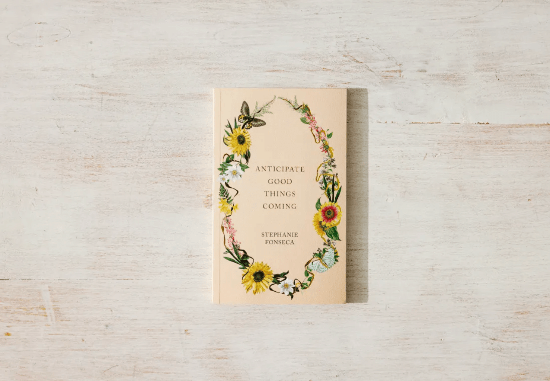 Anticipate Good Things Coming - book - Thought Catalog - 9781949759778 - Sugar River Shoppe - 