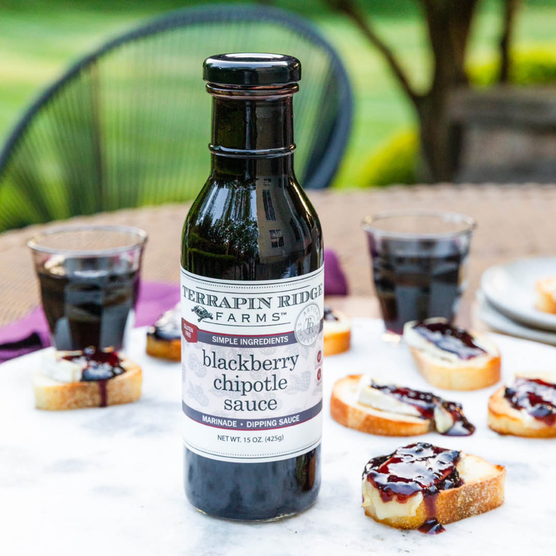Blackberry Chipotle Sauce - Terrapin Ridge Farms - 619360091537 - Sugar River Shoppe - 