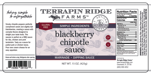 Blackberry Chipotle Sauce - Terrapin Ridge Farms - 619360091537 - Sugar River Shoppe - 