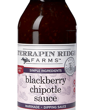 Blackberry Chipotle Sauce - Terrapin Ridge Farms - 619360091537 - Sugar River Shoppe - 