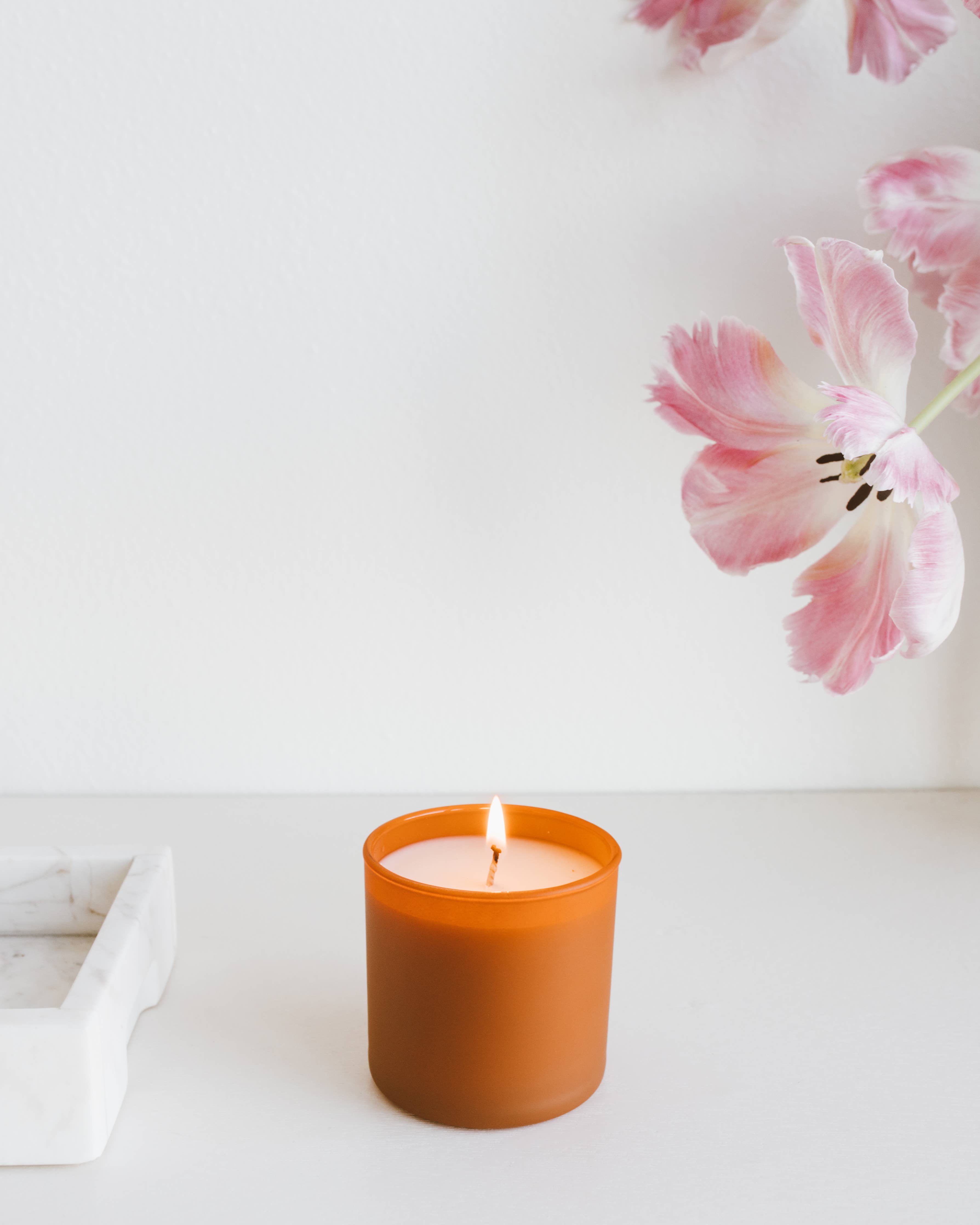 Cedar + Tobacco - Dignity Series Soy Candle - Sugar River Shoppe