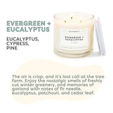 Evergreen+Eucalyptus - 3 Wick Clear Glass Tumbler Soy Candle - Sugar River Shoppe