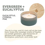 Evergreen + Eucalyptus - Resilience Series 3 Wick Soy Candle - Sugar River Shoppe