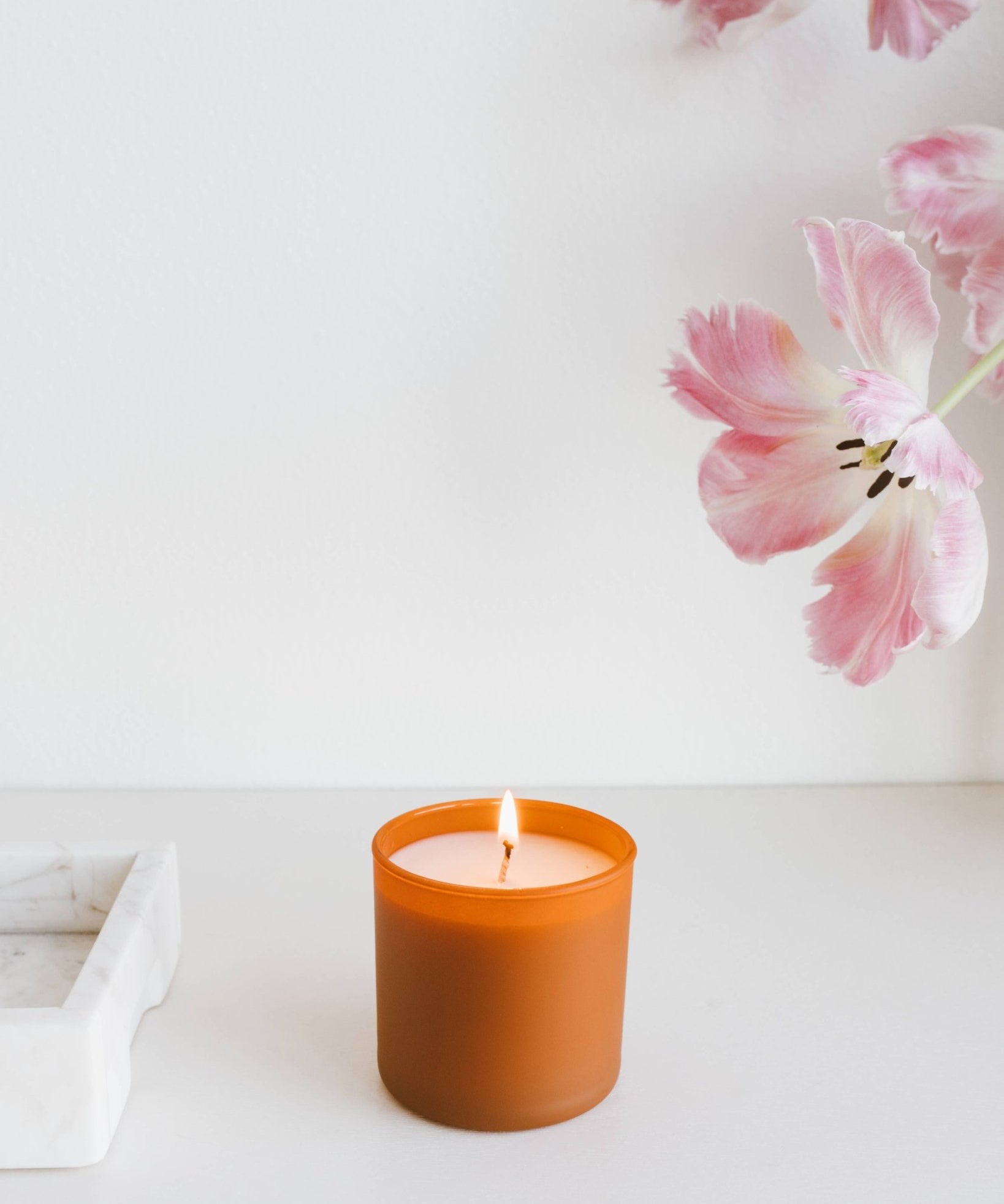 Cedar + Tobacco - Dignity Series Soy Candle - Calyan Wax Co. - 856207008512 - Sugar River Shoppe - 