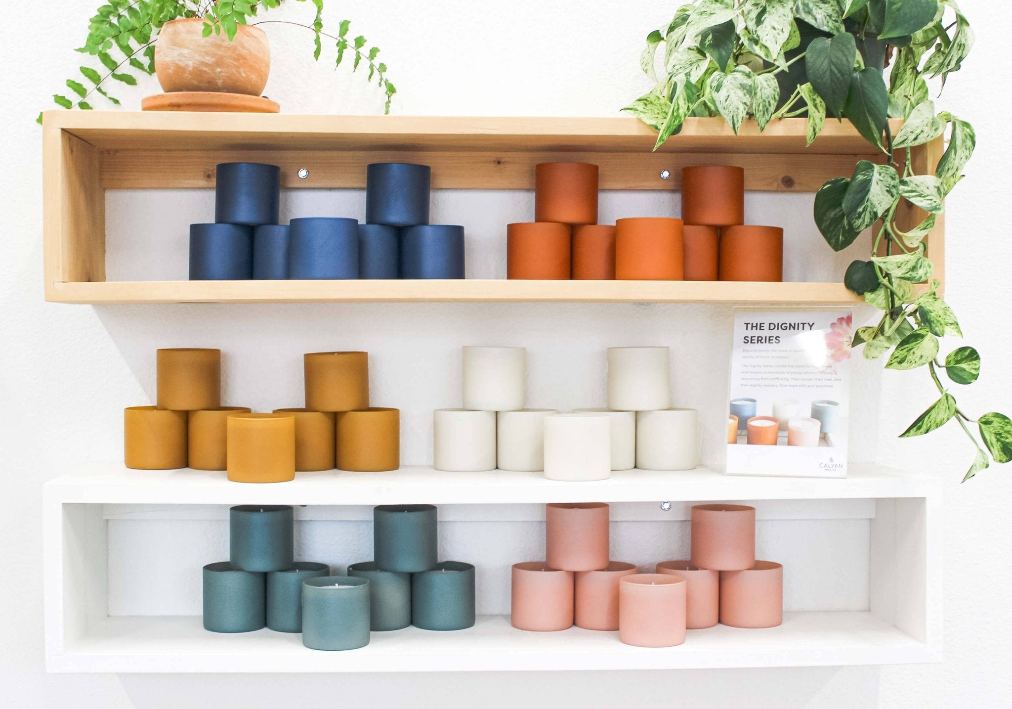 Cedar + Tobacco - Dignity Series Soy Candle - Calyan Wax Co. - 856207008512 - Sugar River Shoppe - 