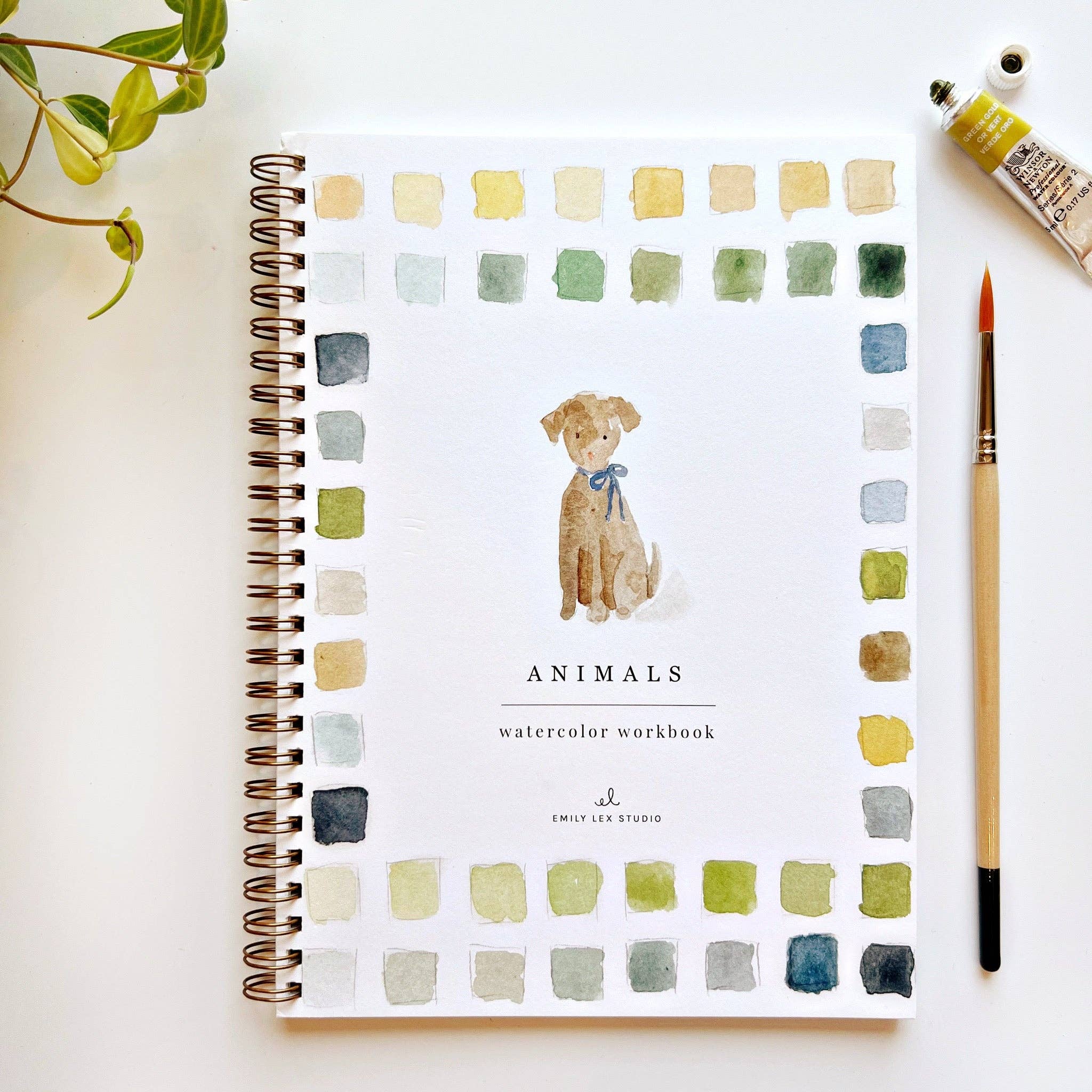 Animals watercolor workbook - Sugar River Shoppe