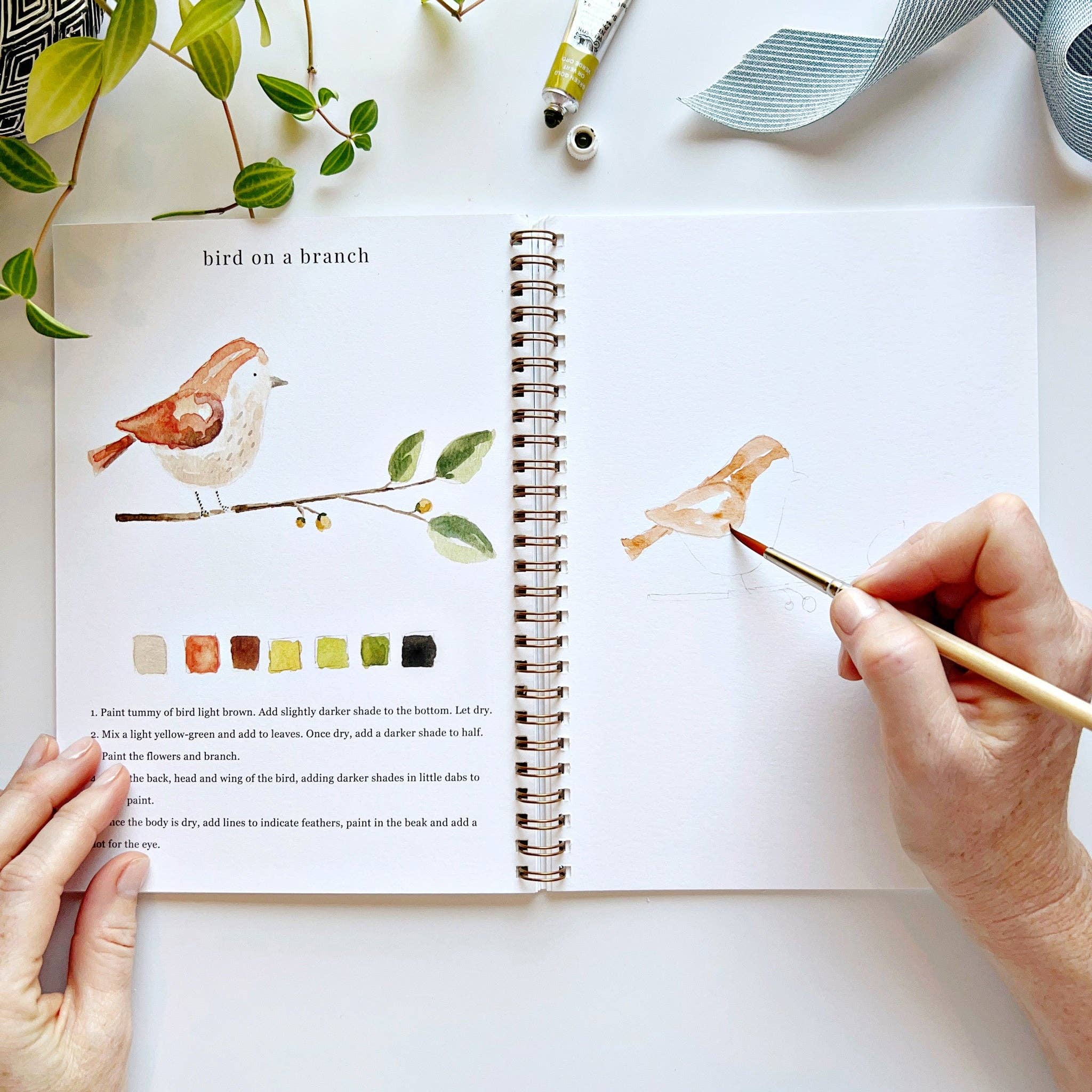 Animals watercolor workbook - Sugar River Shoppe