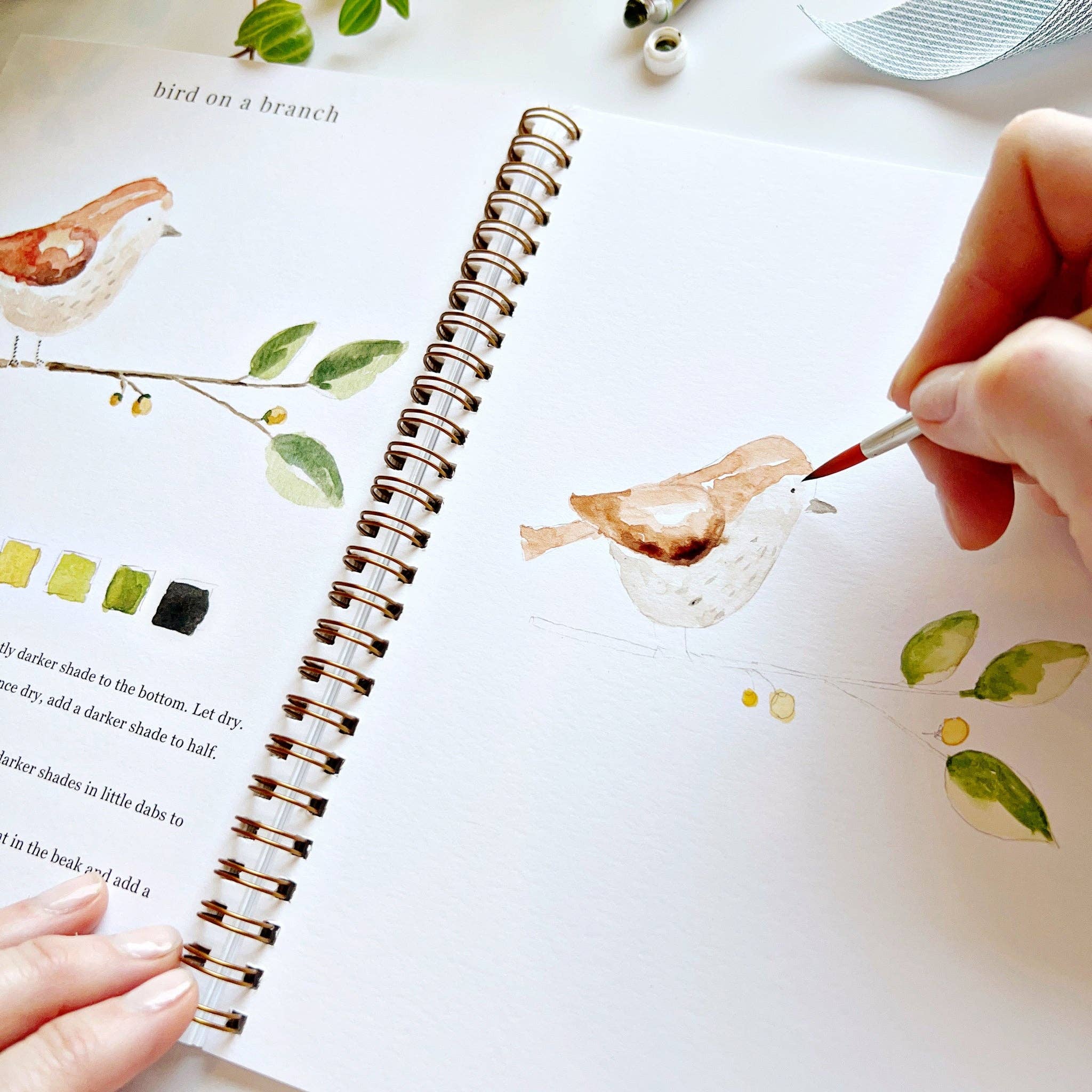 Animals watercolor workbook - Sugar River Shoppe