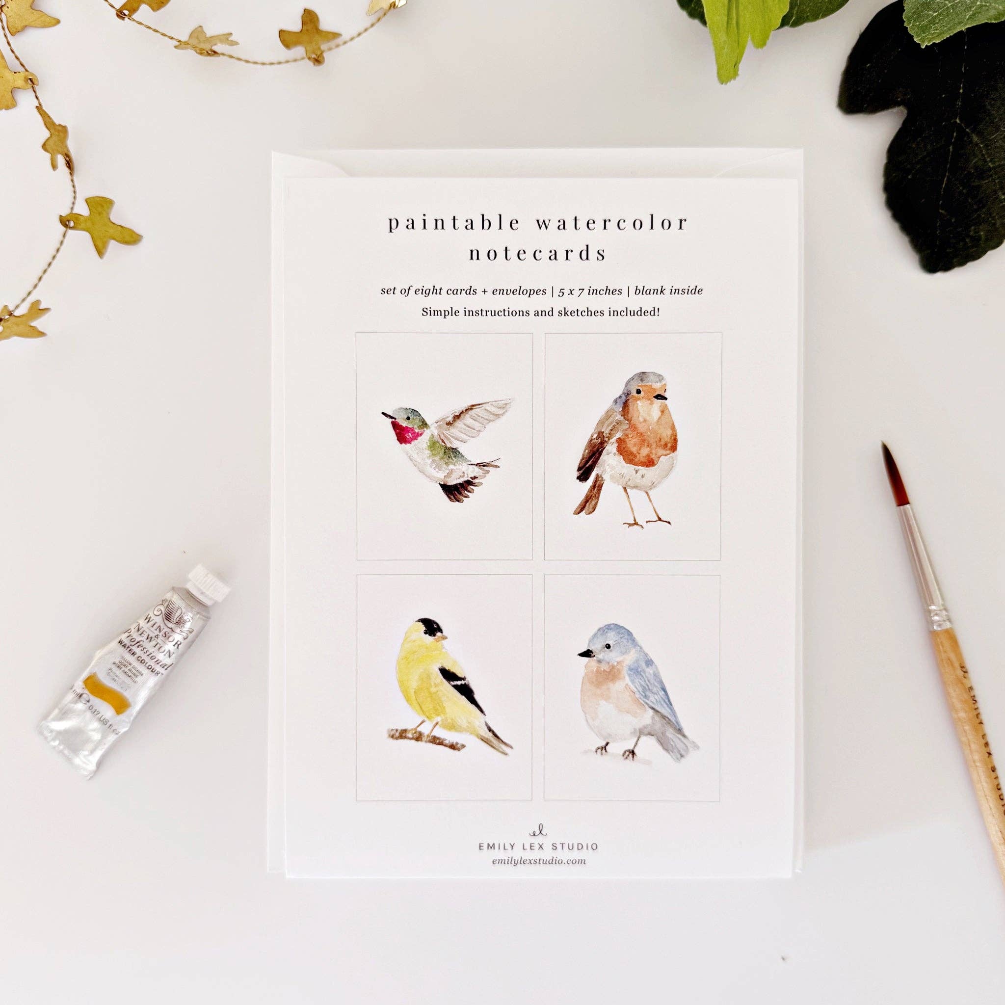 Backyard birds paintable notecards - Sugar River Shoppe