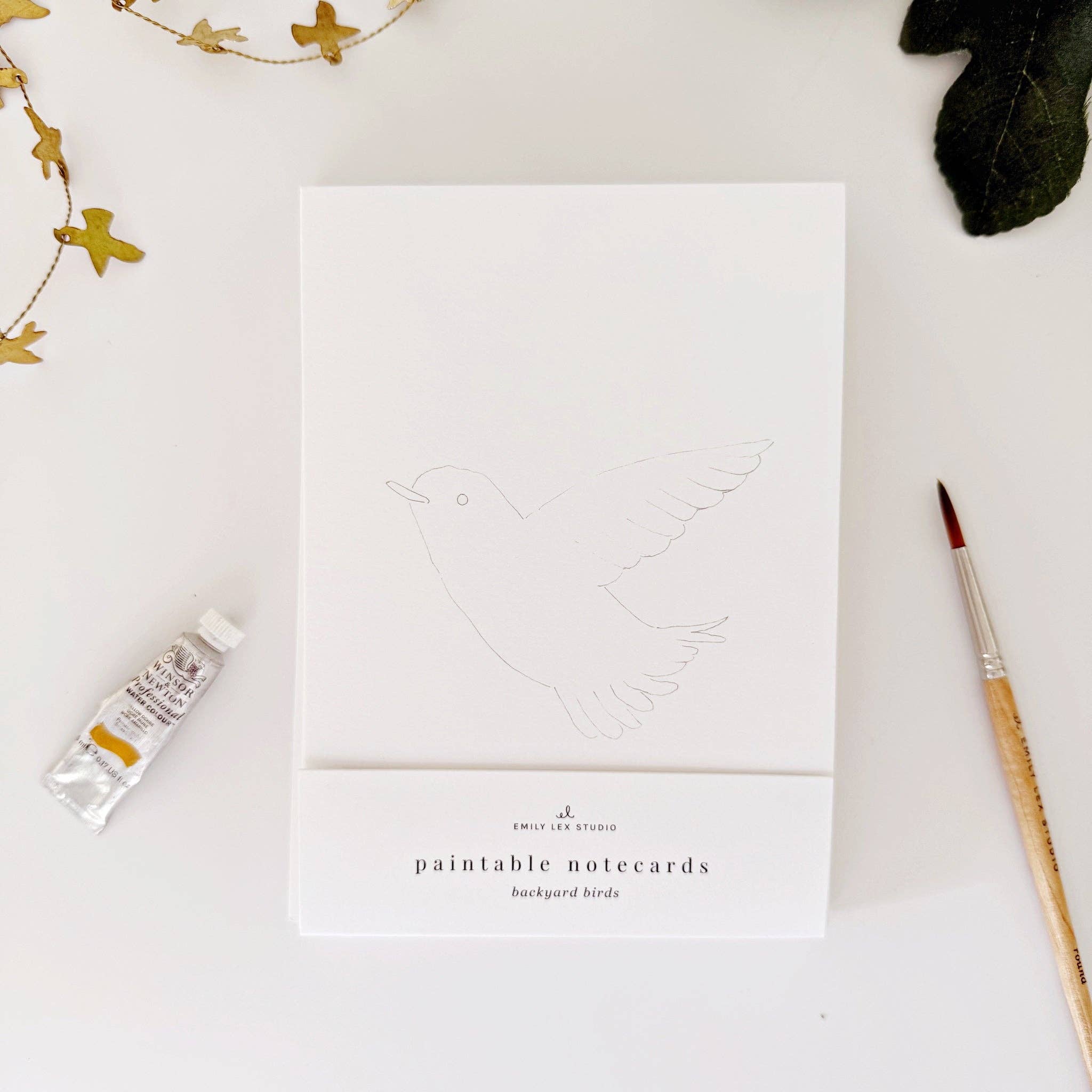 Backyard birds paintable notecards - Sugar River Shoppe