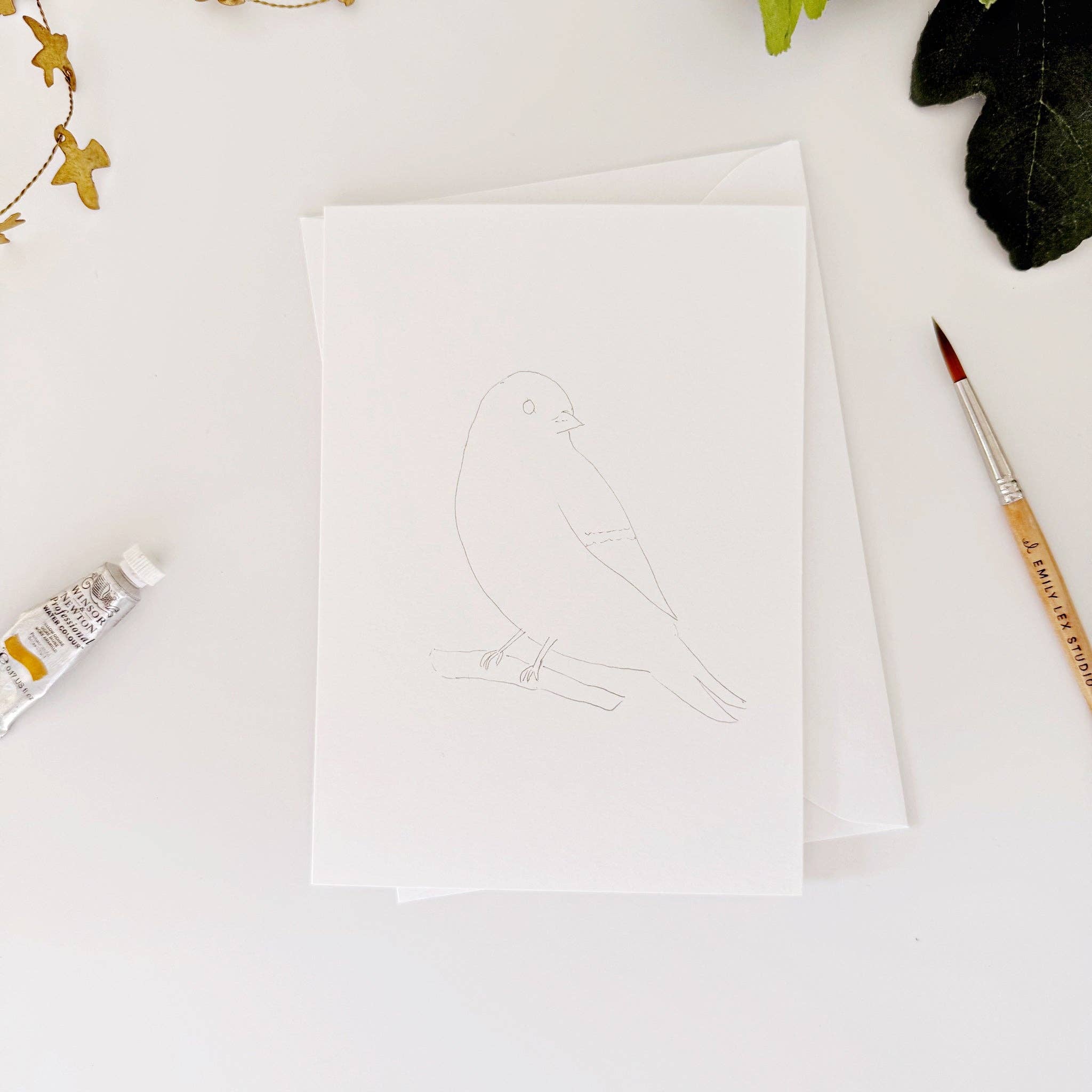 Backyard birds paintable notecards - Sugar River Shoppe