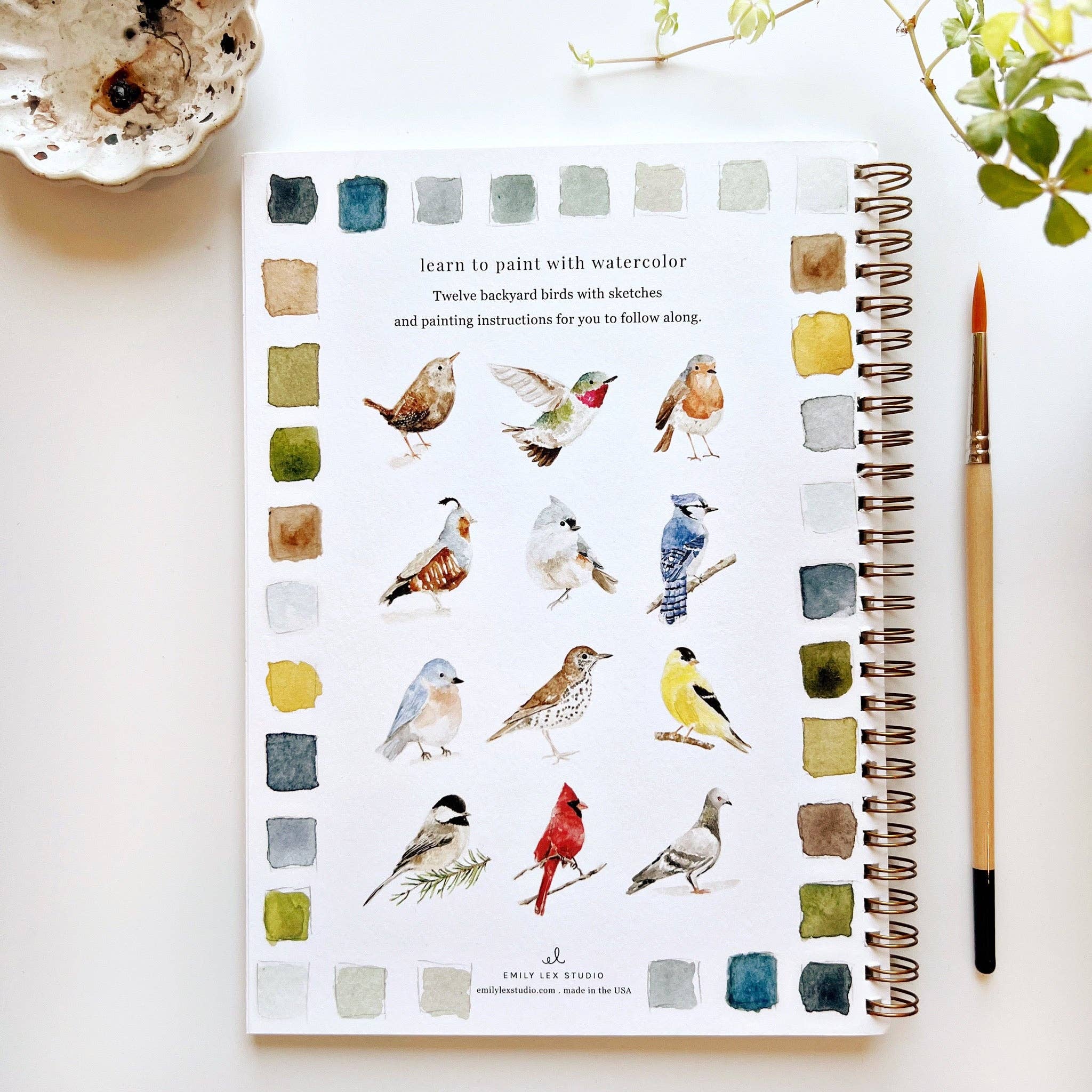 Birds watercolor workbook - Sugar River Shoppe