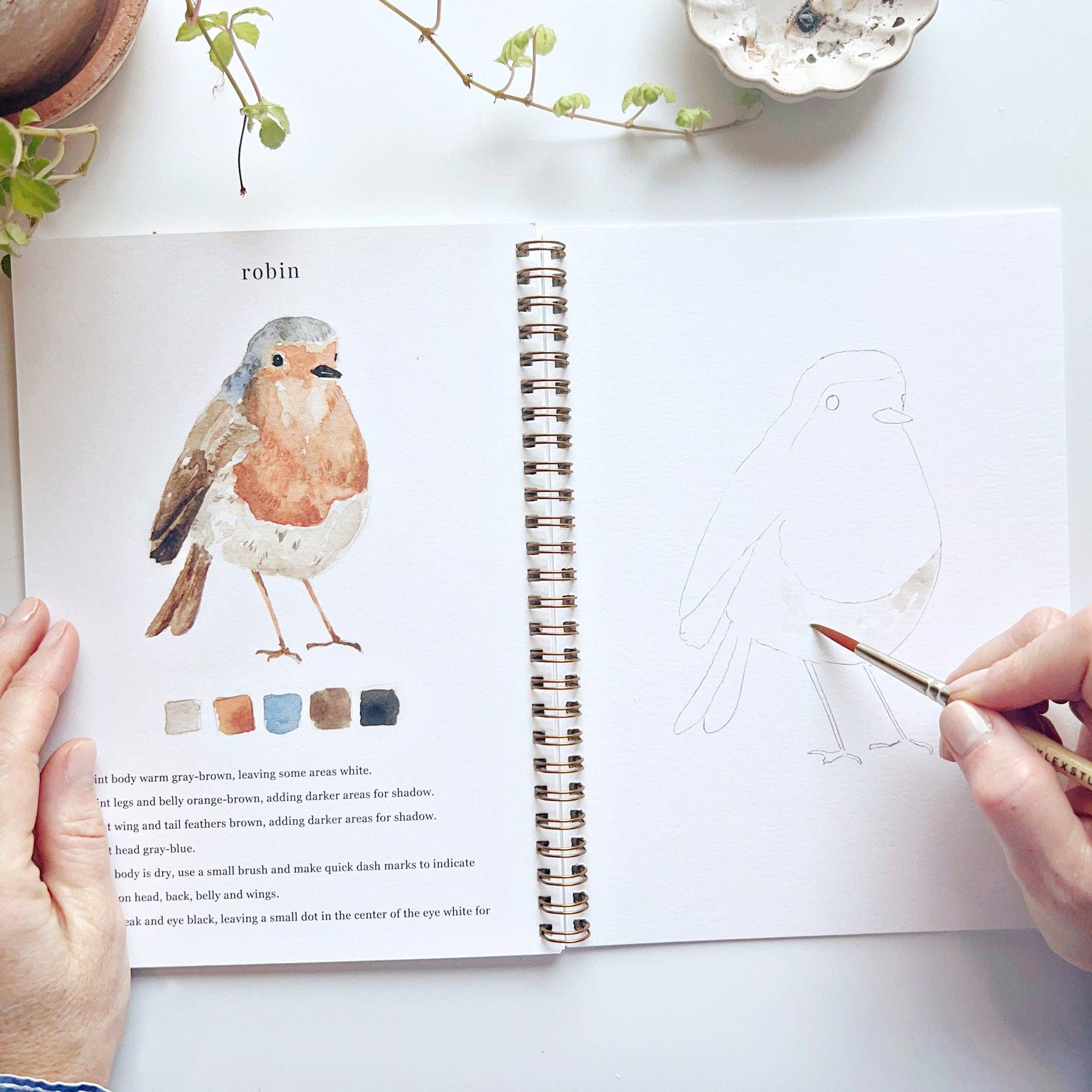 Birds watercolor workbook - Sugar River Shoppe