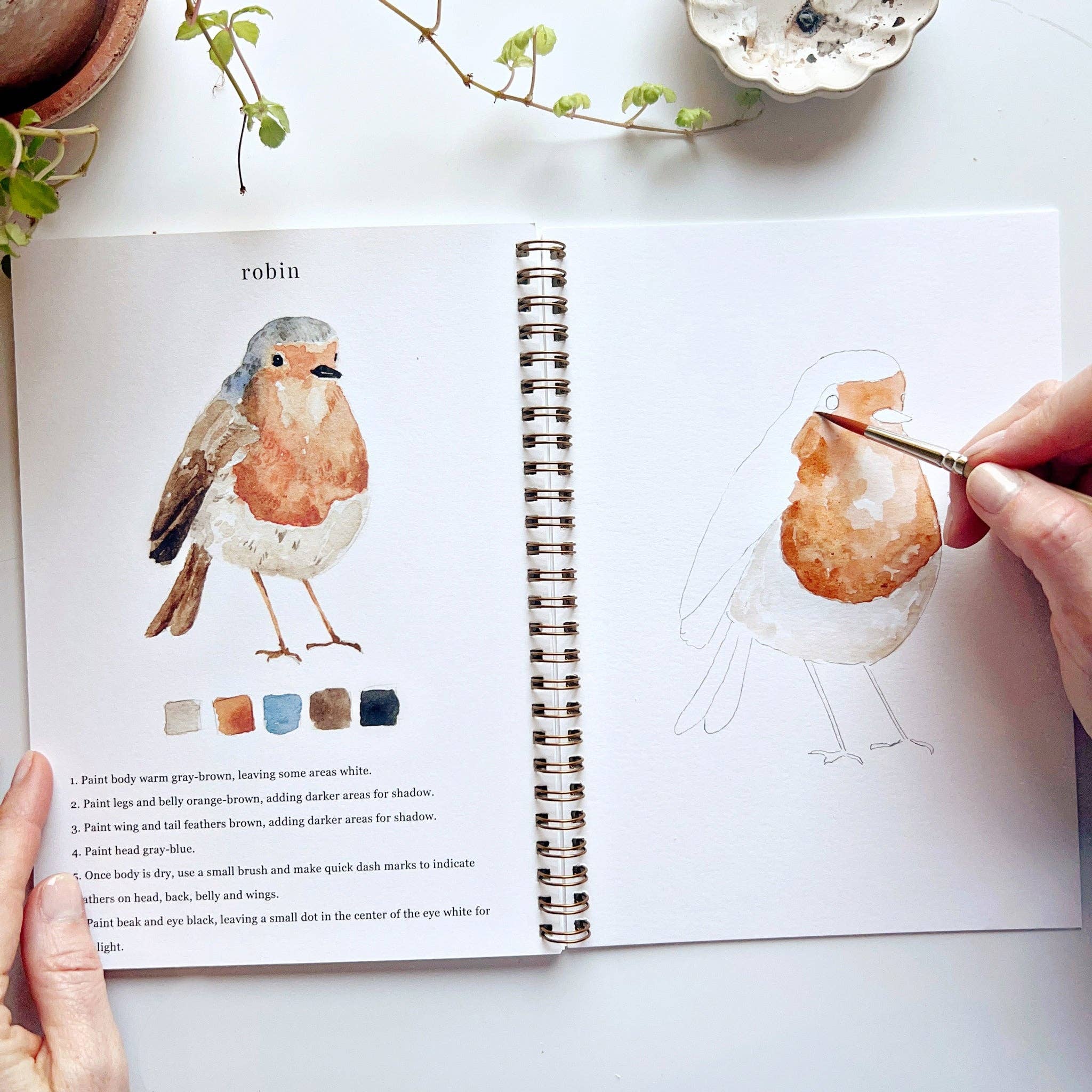 Birds watercolor workbook - Sugar River Shoppe