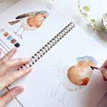 Birds watercolor workbook - Sugar River Shoppe