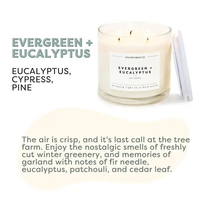 Evergreen+Eucalyptus - 3 Wick Clear Glass Tumbler Soy Candle - Calyan Wax Co. - 856207008307 - Sugar River Shoppe - 