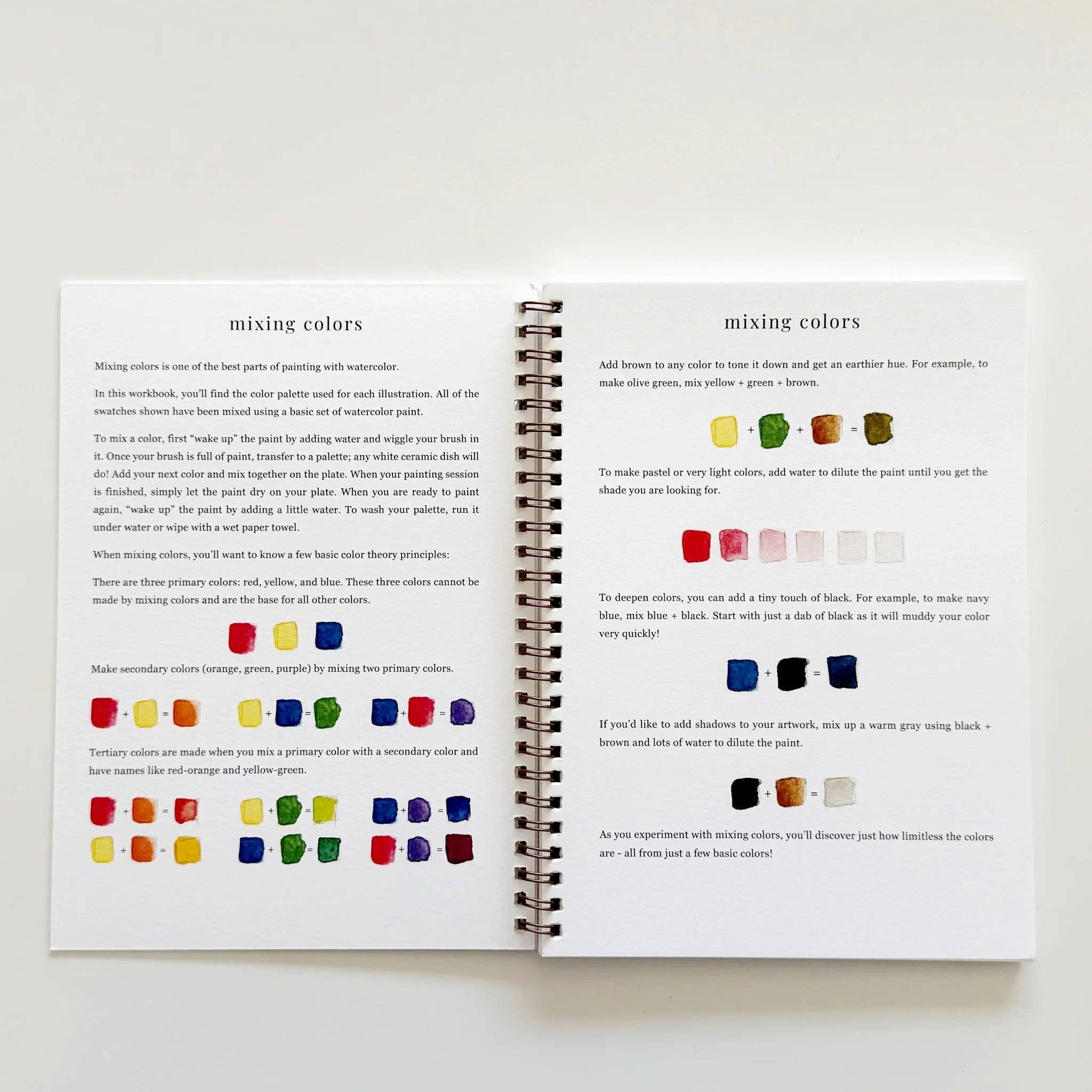 Fruit watercolor workbook - emily lex studio - 810139740674 - Sugar River Shoppe - 