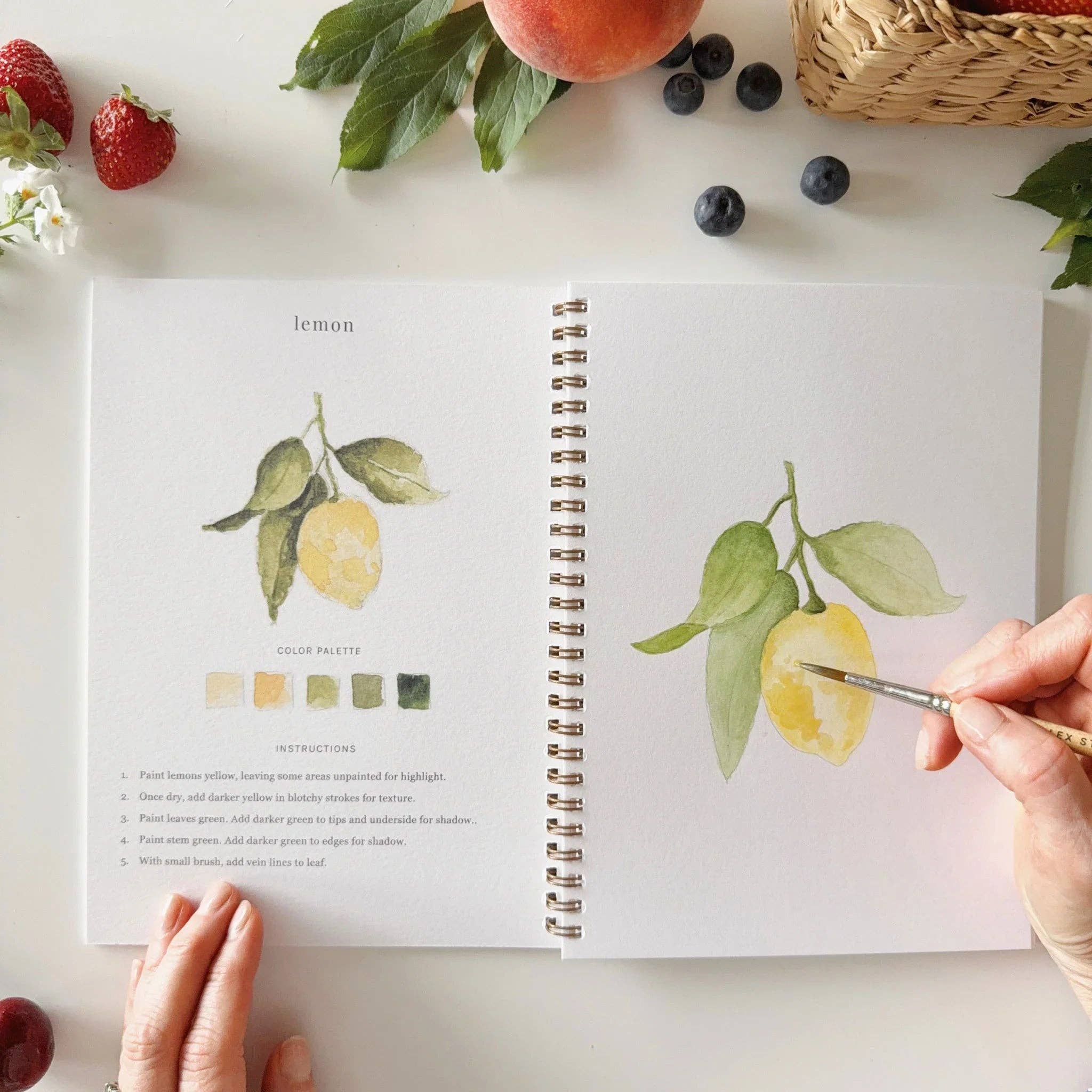 Fruit watercolor workbook - emily lex studio - 810139740674 - Sugar River Shoppe - 