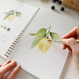 Fruit watercolor workbook - emily lex studio - 810139740674 - Sugar River Shoppe - 