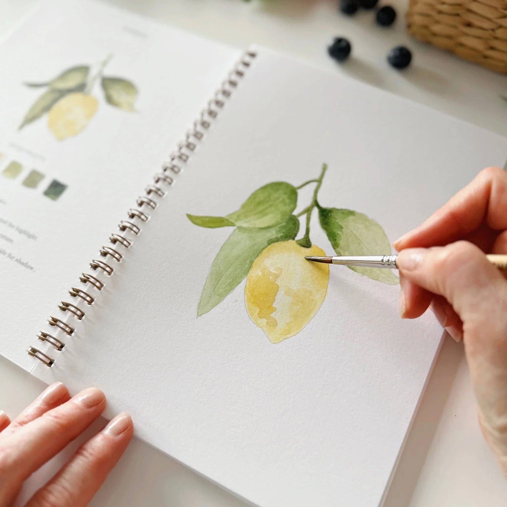 Fruit watercolor workbook - emily lex studio - 810139740674 - Sugar River Shoppe - 