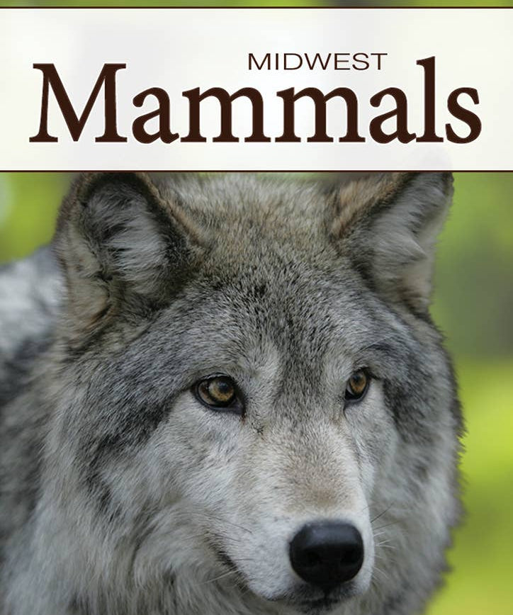 Mammals of Midwest Playing Cards - AdventureKEEN - 9781591932840 - Sugar River Shoppe - 