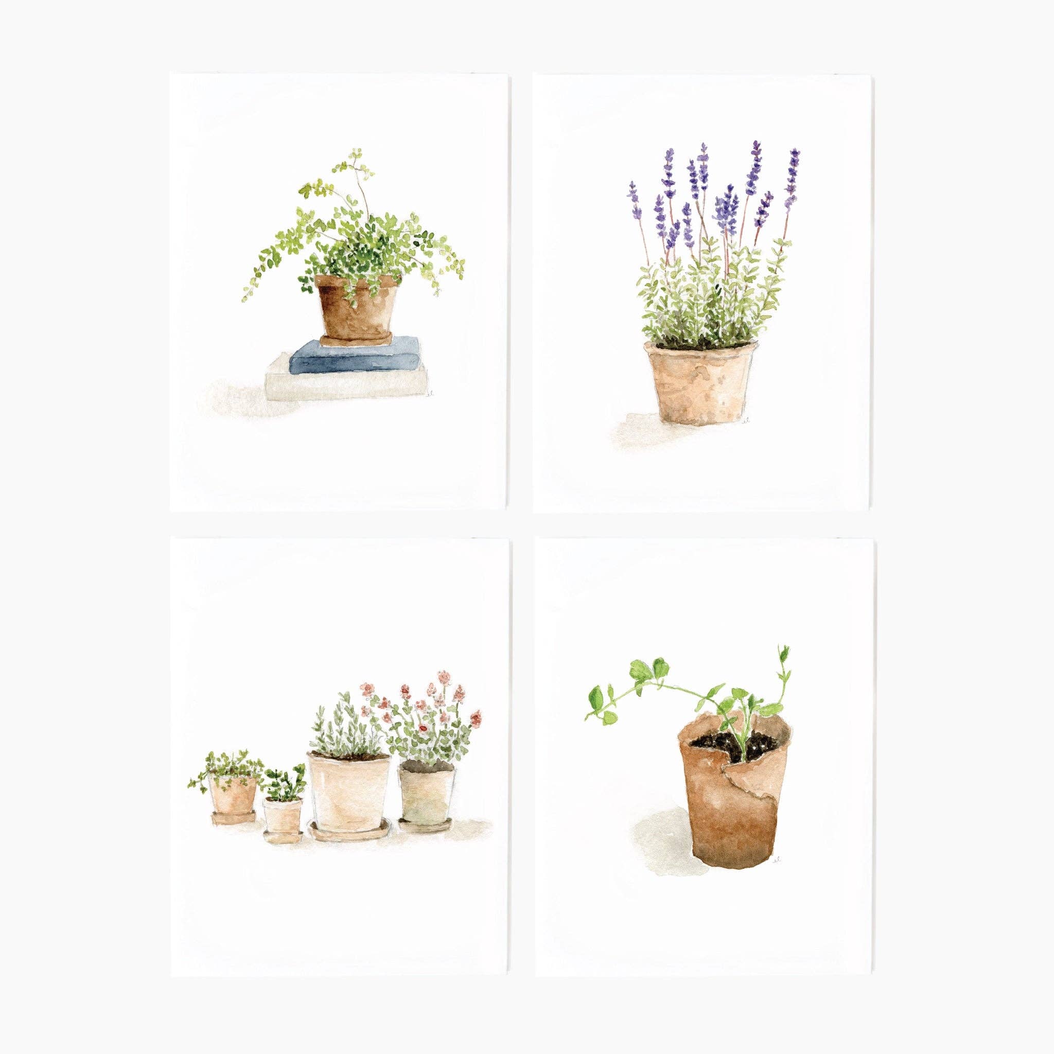 Potted plants notecard set - emily lex studio - 8101397407648 - Sugar River Shoppe - 