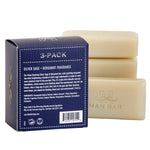 Man Bar Miniature Soap - Silver Sage & Bergamot 3pc Gift Set - Sugar River Shoppe