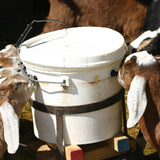 Soap Saver Dish - Windrift Hill Goat Milk Skincare - 47251752 - Sugar River Shoppe - 