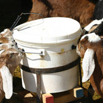 Soap Saver Dish - Windrift Hill Goat Milk Skincare - 70308392 - Sugar River Shoppe - 