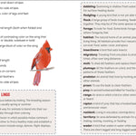 Bird Watching Book for Kids - Sugar River Shoppe