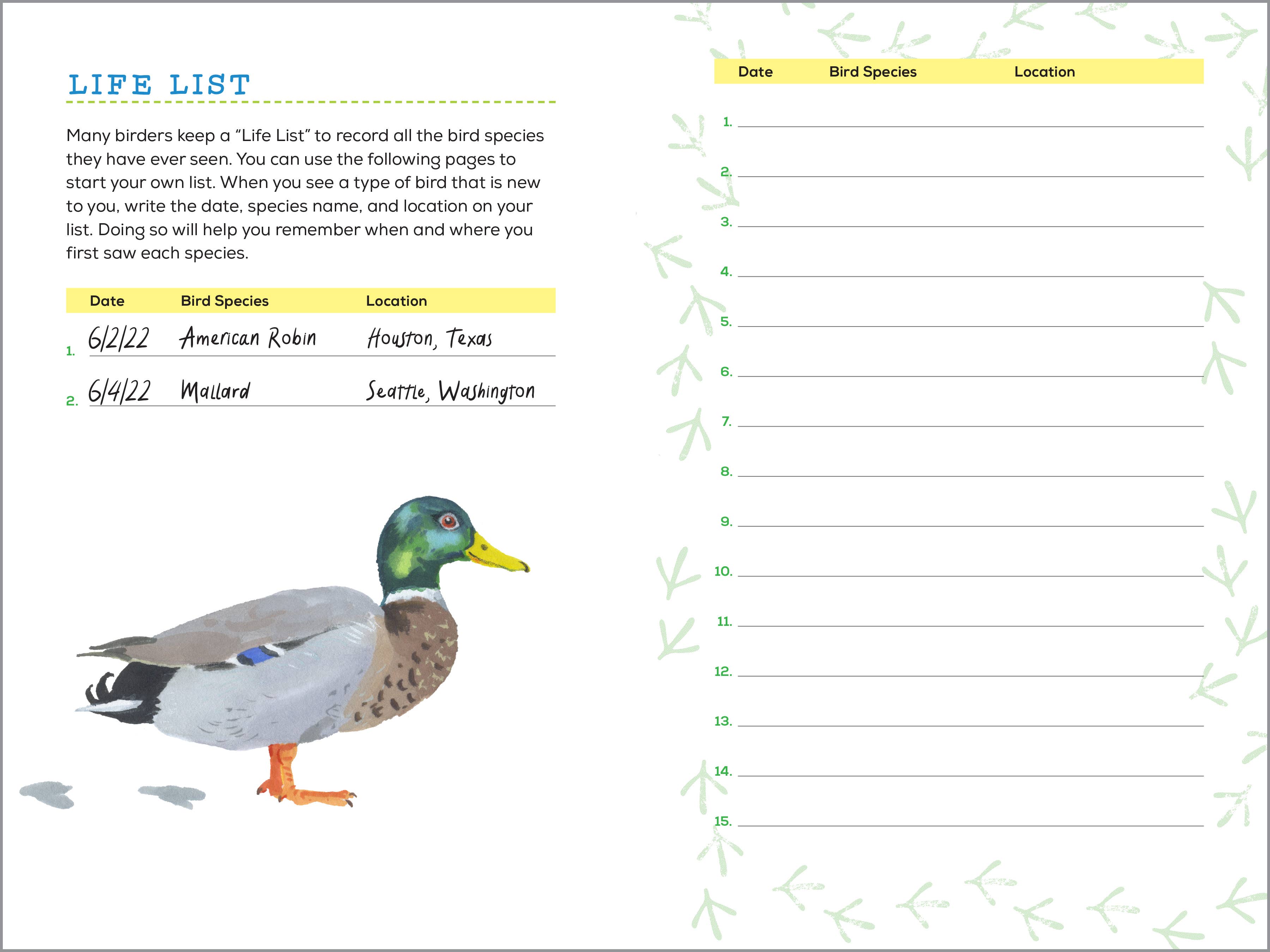 Bird Watching Book for Kids - Sugar River Shoppe