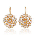 Classic Birthday Tourmaline Stones Earrings: 24k Gold Vermeil / Labradorite - Sugar River Shoppe