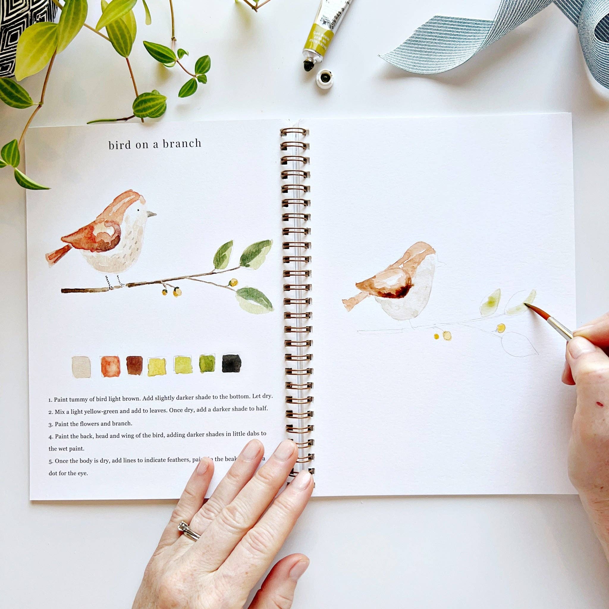 Watercolor Workbook Collection - emily lex studio - 8101397403220 - Sugar River Shoppe - 