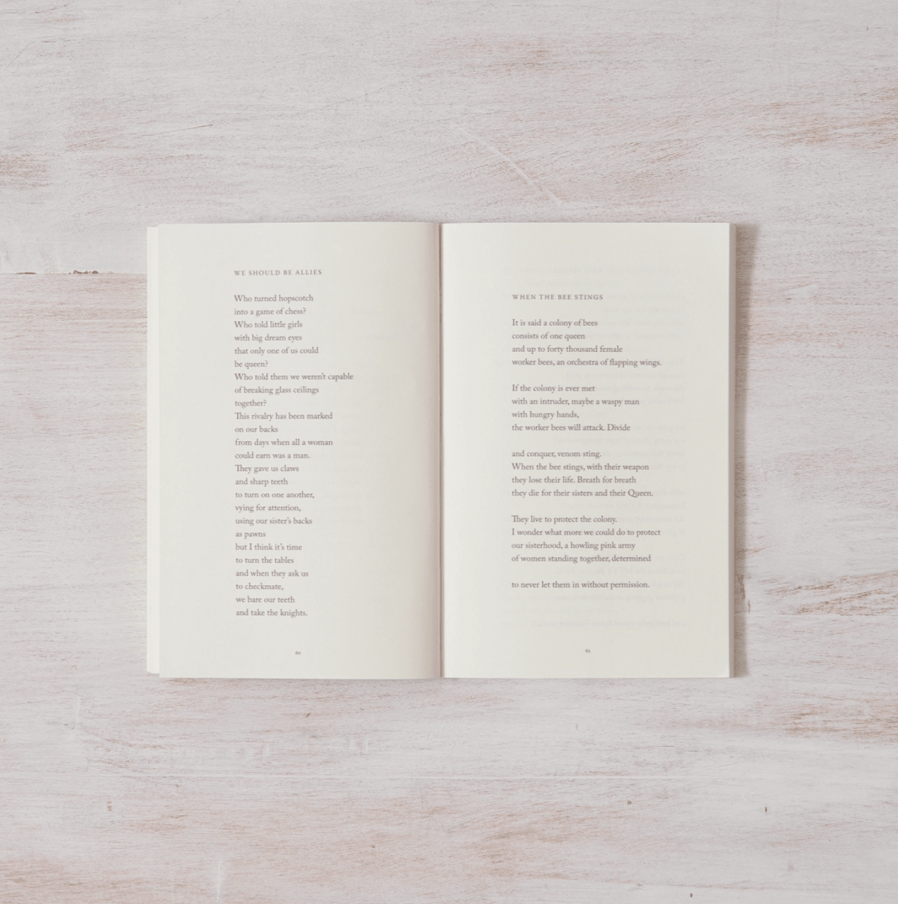When The Bee Stings - book - Thought Catalog - 9781949759327 - Sugar River Shoppe - 