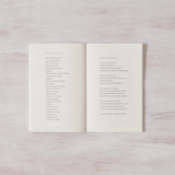 When The Bee Stings - book - Thought Catalog - 9781949759327 - Sugar River Shoppe - 