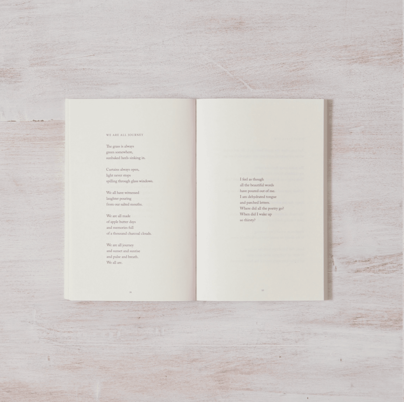 When The Bee Stings - book - Thought Catalog - 9781949759327 - Sugar River Shoppe - 