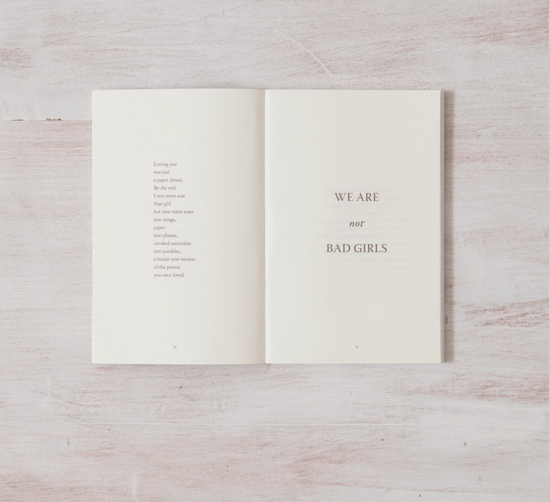 When The Bee Stings - book - Thought Catalog - 9781949759327 - Sugar River Shoppe - 