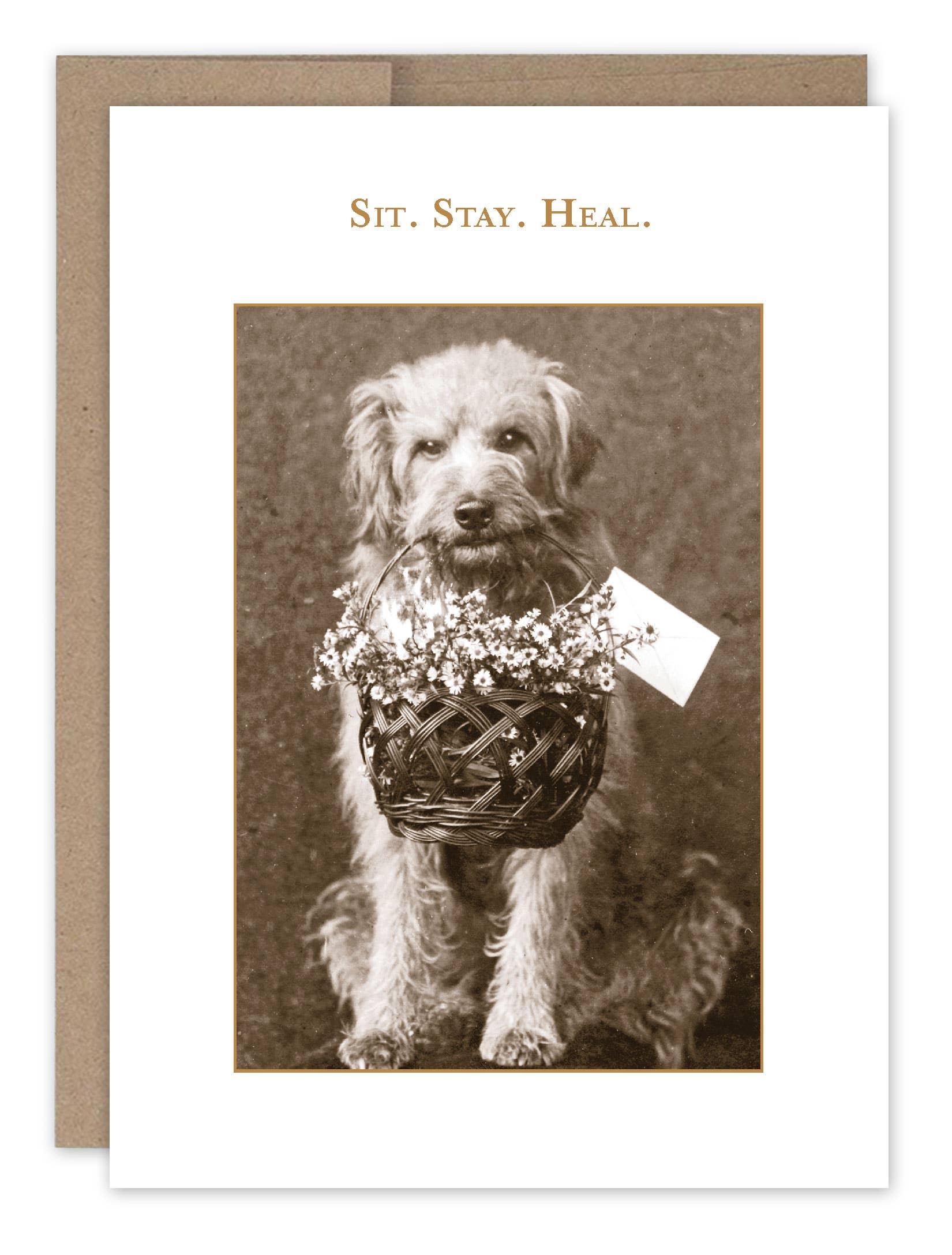 Sit. Stay. Heal. Get Well Card - Sugar River Shoppe