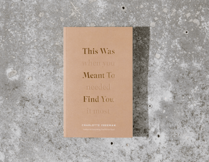 This Was Meant To Find You (When You Needed It Most) - book - Sugar River Shoppe