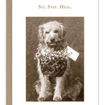 Sit. Stay. Heal. Get Well Card - Sugar River Shoppe