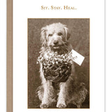 Sit. Stay. Heal. Get Well Card - Sugar River Shoppe