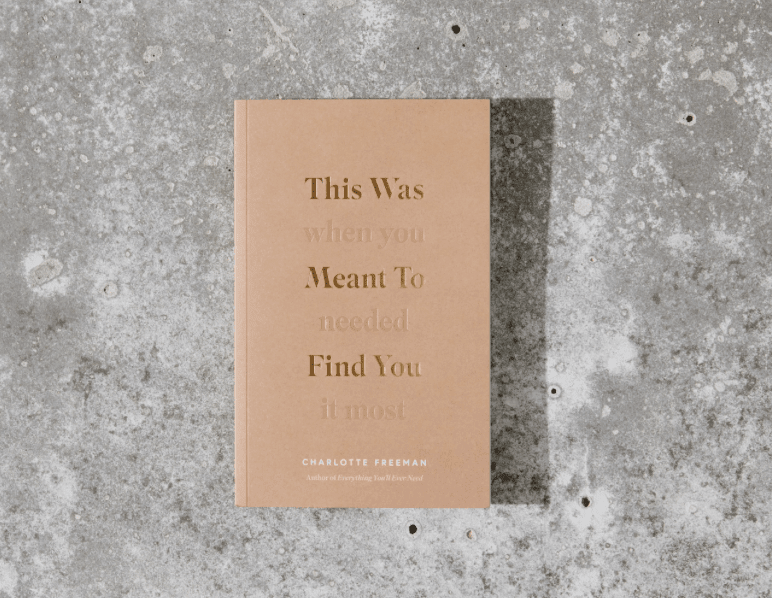 This Was Meant To Find You (When You Needed It Most) - book - Thought Catalog - 9781949759648 - Sugar River Shoppe - 